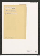 Synedra laevigata Grun. (de-Toni-Nr.: Genus 66, Species 2587) Zeichnungen Sammlung Grunow (NHMW-BOT-W0373622)